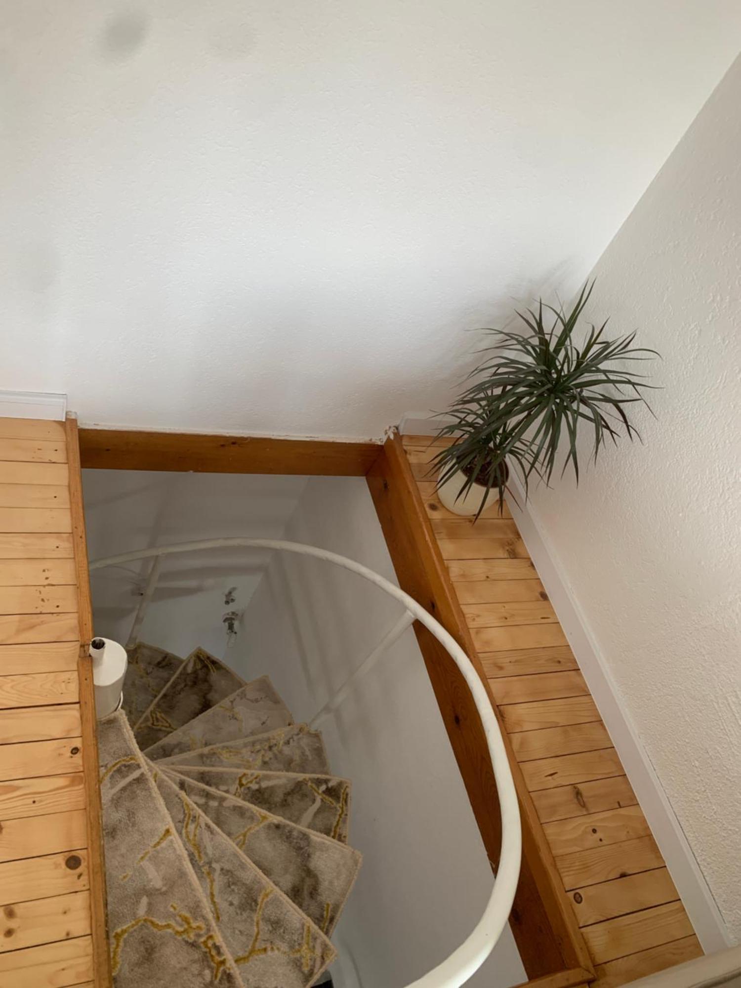 Little Heaven Free Parking Apartment Sarajevo Bagian luar foto